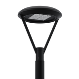 155W, WiLLstudio DRX Architectural Post Top LED Light Fixture, 22000 Lumens