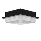 20W, NAFCO® CPX Canopy LED Light Fixture, 3000 Lumens